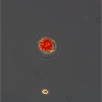 2010-10-03_014 - Arbeitskopie 2