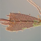 Img2009-11-01_011