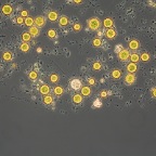 25x630024 - Arbeitskopie 3