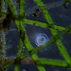 Img0183 - Arbeitskopie 4