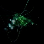 Abstract