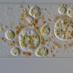 Img2010-03-02_021 (1)